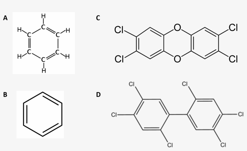 11 Examples Of Carcinogens Disposed Of In The Love - Diagram, transparent png download