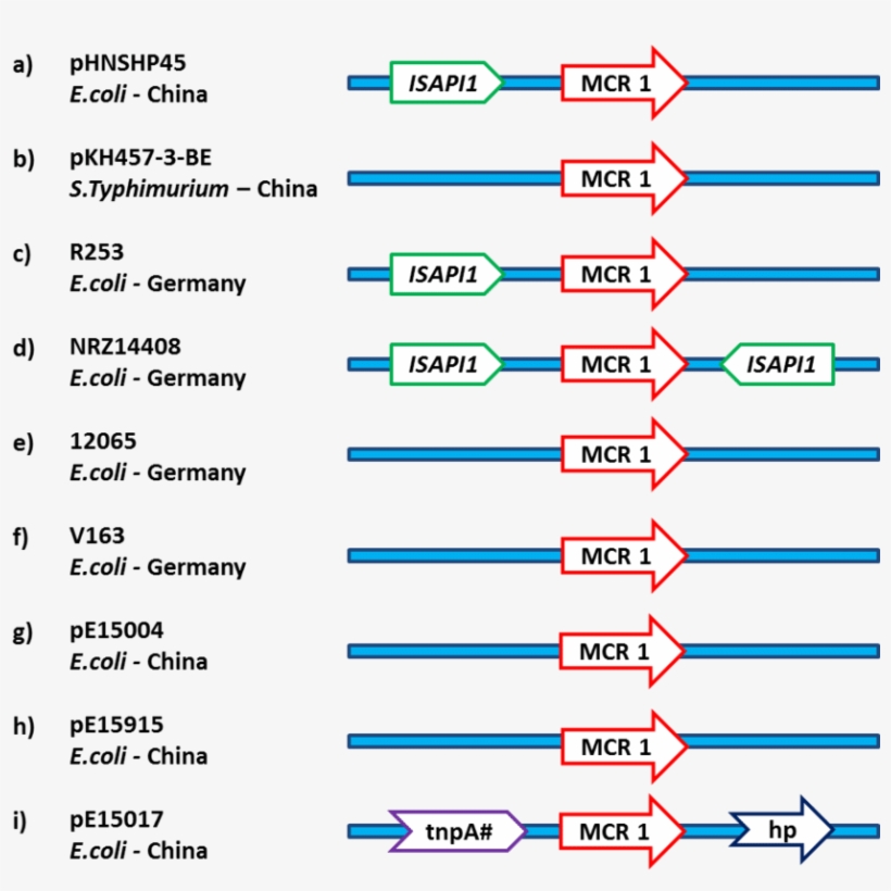 1 Stands For P Lasmid M Ediated C Olistin R Esistance - Number, transparent png download