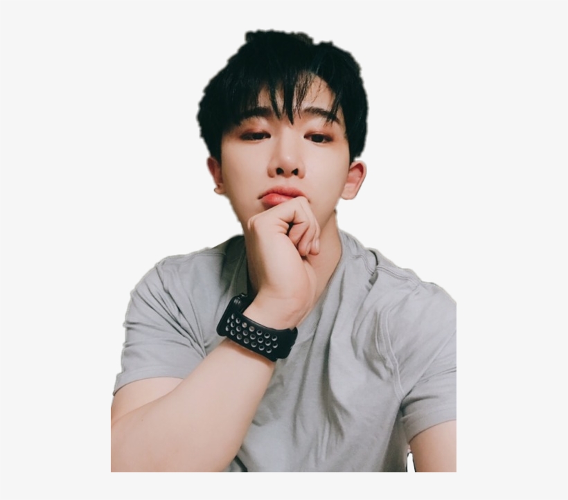 Wonho Sticker - Wonho Selca, transparent png download