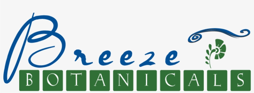 Breeze Type Logo, transparent png download