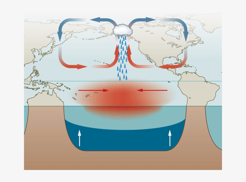 During The Rare Phenomenon Known As El Niño Modoki, - El Nino Illustration, transparent png download