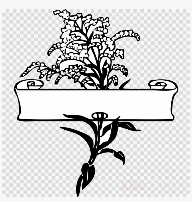 Download Scroll Clip Art Clipart Clip Art Graphics - Scroll Clip Art, transparent png download