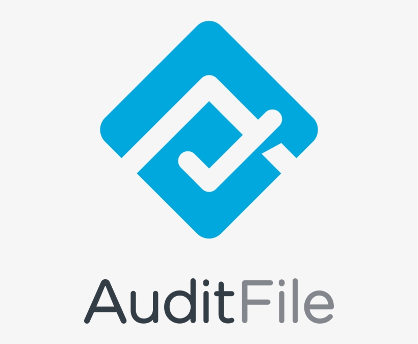 Auditfile Introduces Add-in Tool For Microsoft Excel - Ip Camera, transparent png download