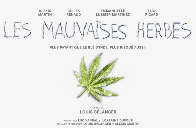 Thumb Image - Bad Seeds, transparent png download