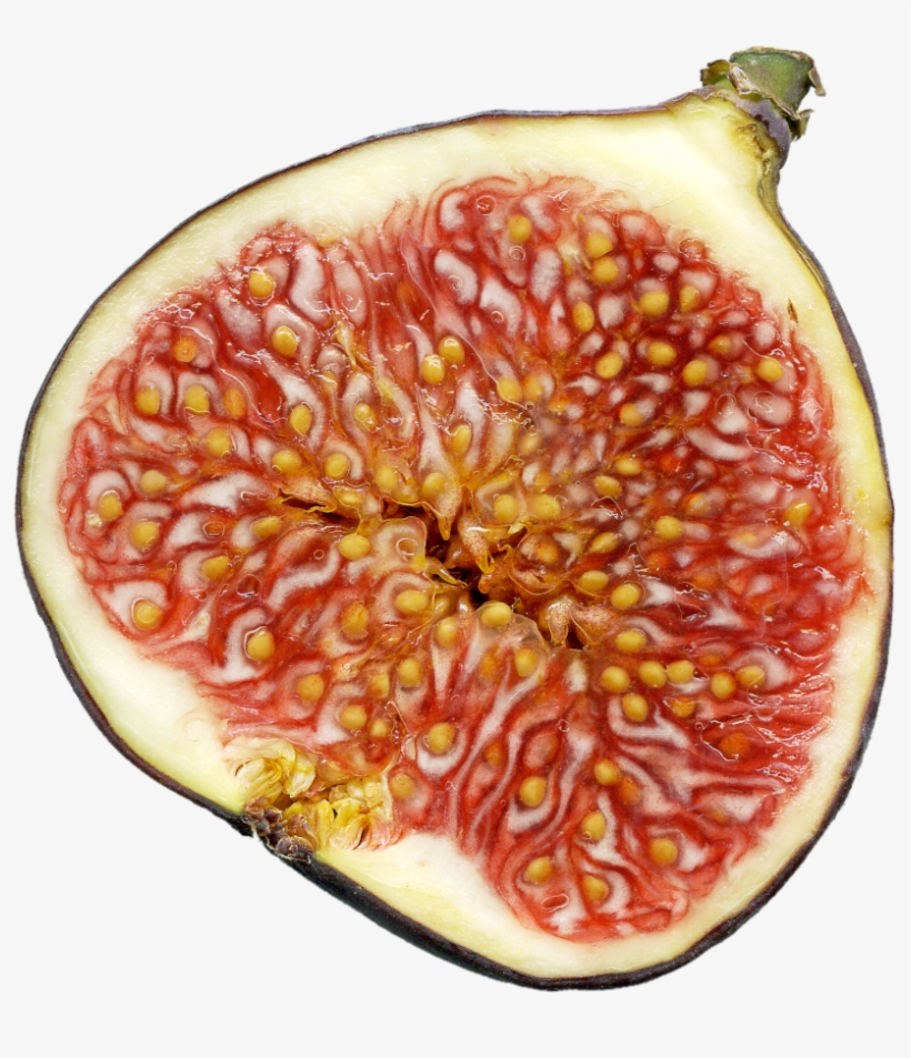 File - Feige-schnitt - Wasp Fig, transparent png download