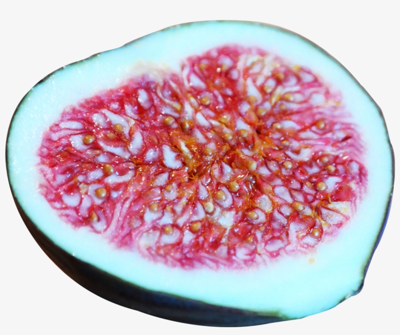 Common Fig, transparent png download