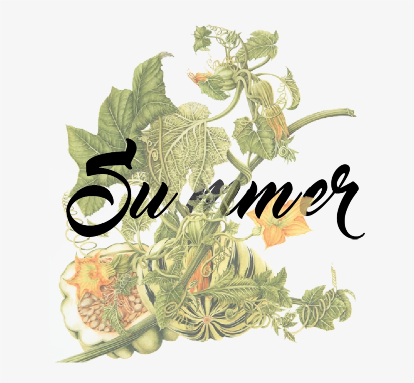 Seasons -01 - Portable Network Graphics, transparent png download