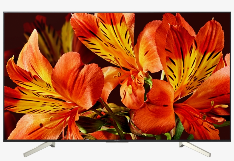 Sony Kd 65xf8505, transparent png download