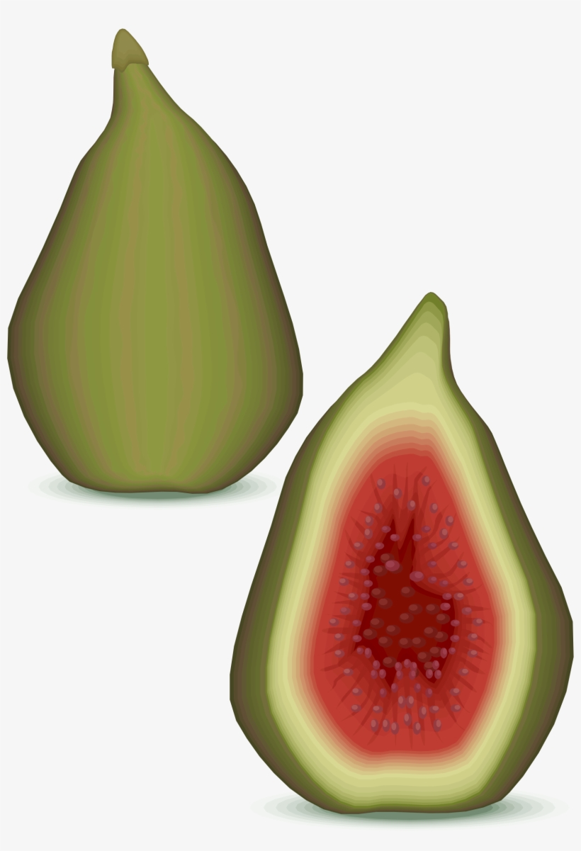 Big Image - Fruit, transparent png download