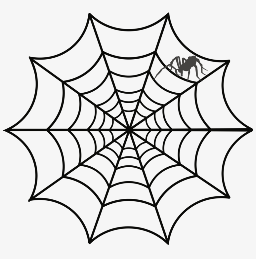 Vector Library Stock Spider Design Australian Funnel - Tela De Araña Dibujo, transparent png download
