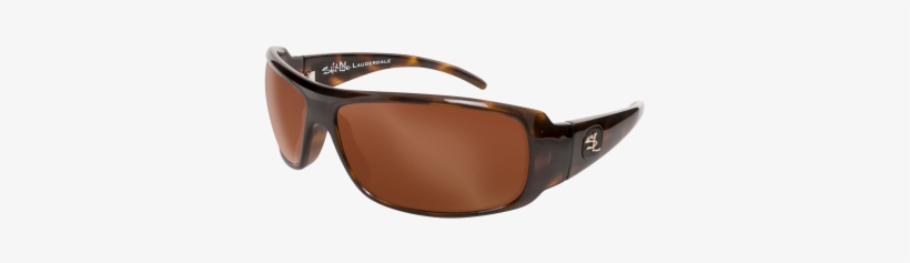 Salt Life Sl202-t-cgr Lauderdale Sunglasses, transparent png download