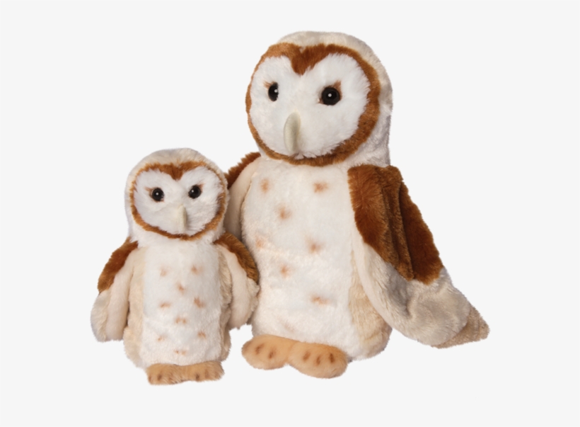 Douglas Rafter Barn Owl - Rafter Barn Owl, transparent png download