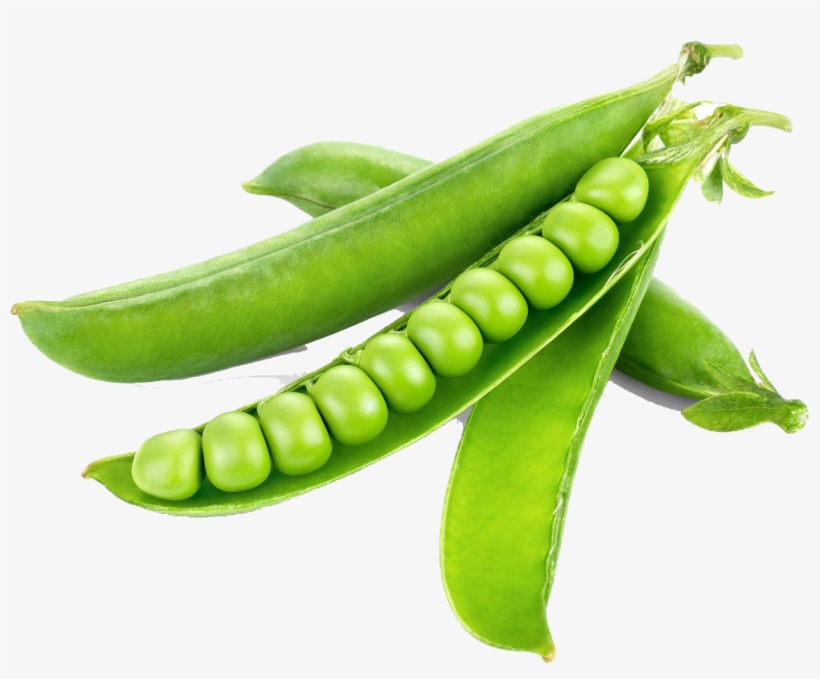 Pea Png Photo - Green Peas, transparent png download