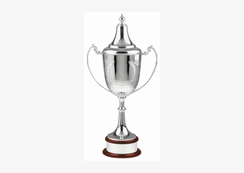 Swatkins Ultimate Award Complete 21.5", transparent png download