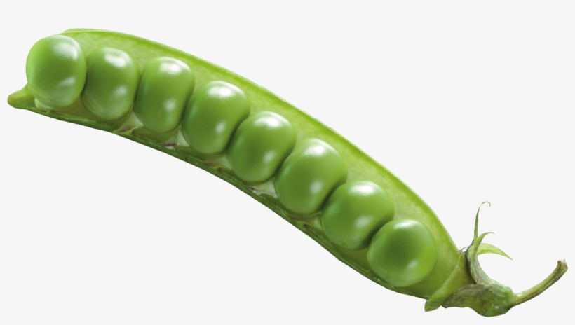Green Bean No Background, transparent png download