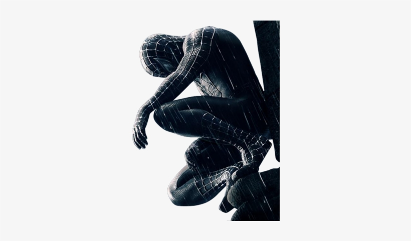 Dark Spiderman - Snow Patrol / Signal Fire (as Featured In Spiderman, transparent png download