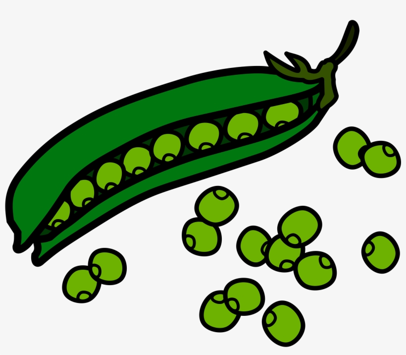 Transparent Download Collection Of Images High Quality - Peas Clipart, transparent png download