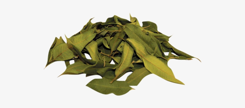 Lemon Myrtle Loose Tea Leaves - Dried Lemon Leaves, transparent png download
