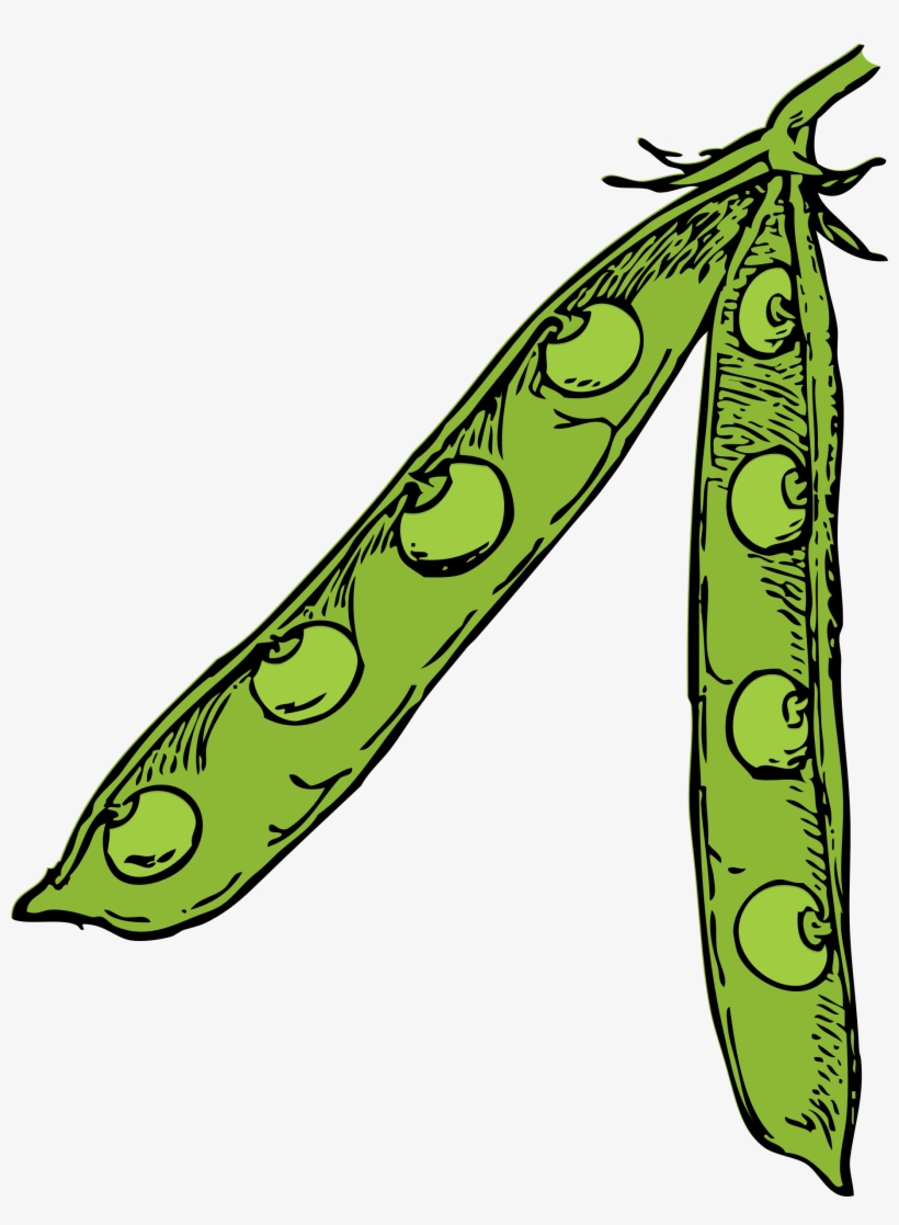 This Free Icons Png Design Of Pea Pod, transparent png download