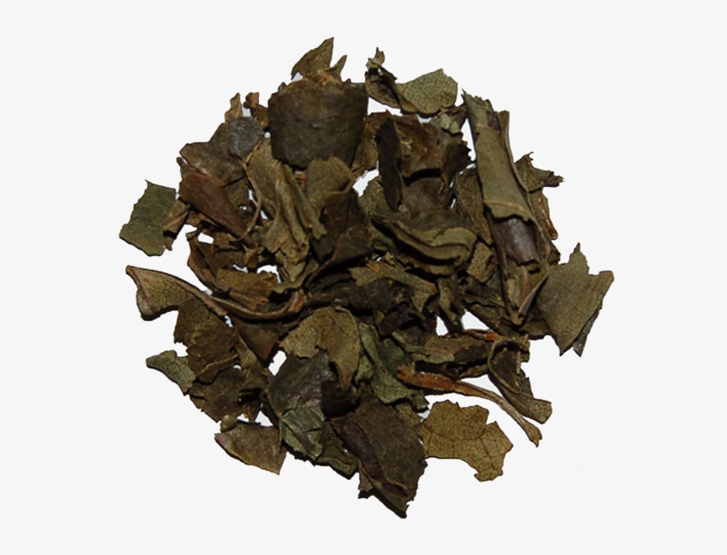 Abundant In Vitamins A & C, Persimmon Leaves Help Prevent - Bancha, transparent png download