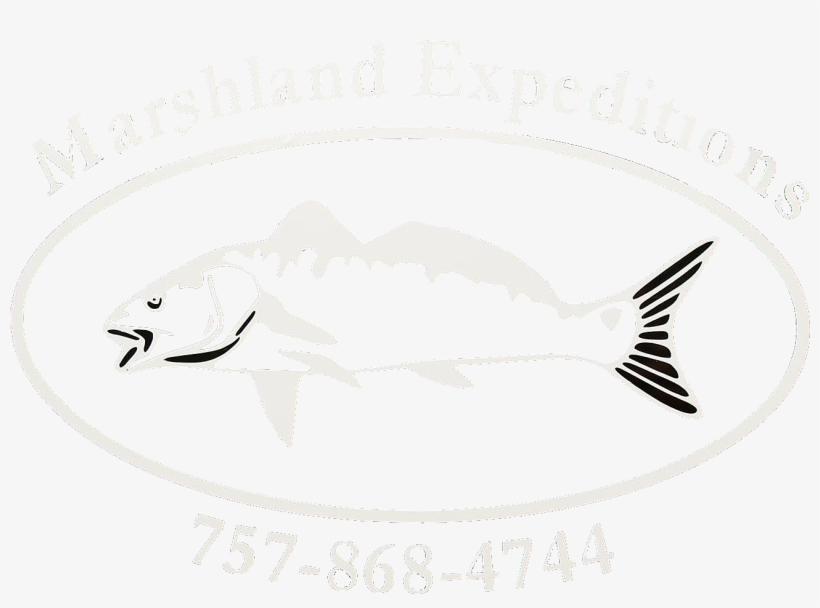 Friday & Saturday's Starting M - Bass, transparent png download