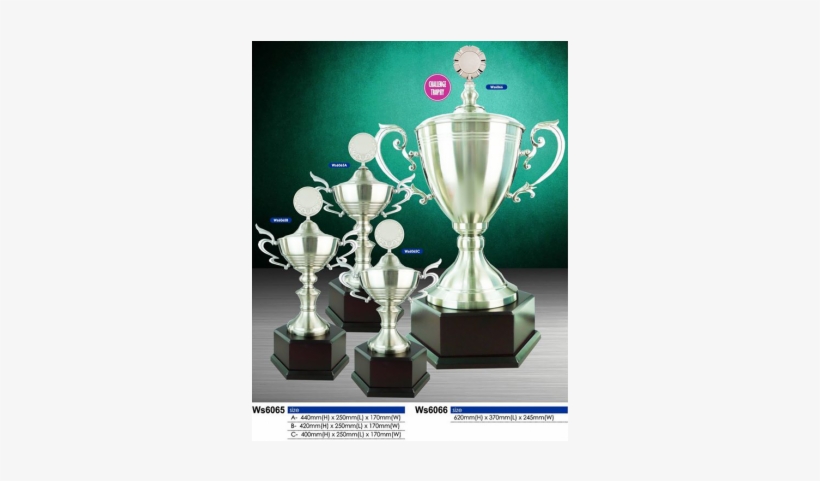 Trophy, transparent png download