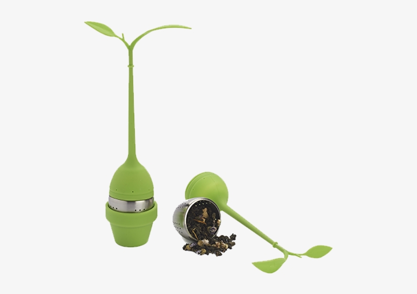 Tea Leaves Infuser - Houseplant, transparent png download
