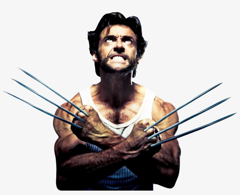 Wolverine Hugh Jackman Png - Hugh Jackman Wolverine Png, transparent png download