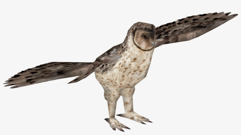 Australian Masked Owl 4 - Eastern Whip Poor Will, transparent png download