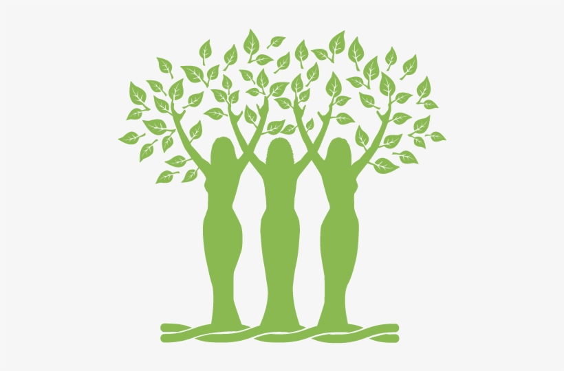 Allies For Plants And People - Plants And People, transparent png download