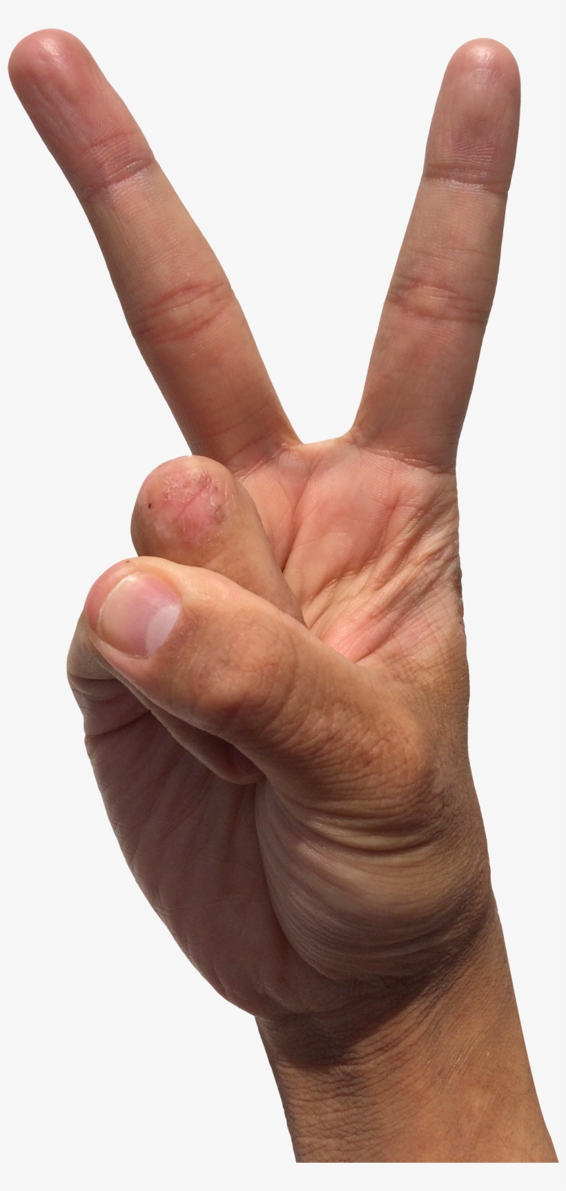 2 Finger Png Graphic Royalty Free - Peace Hand 2 Finger Png, transparent png download