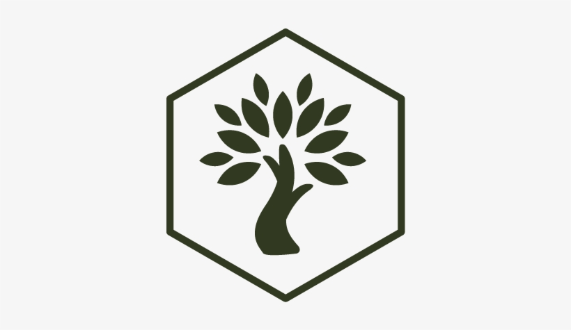Olive Wellness Institute, transparent png download
