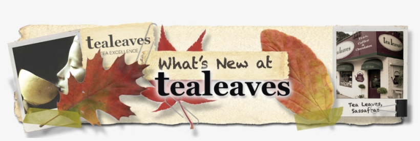 What's New Autumn Header Large - Tea, transparent png download