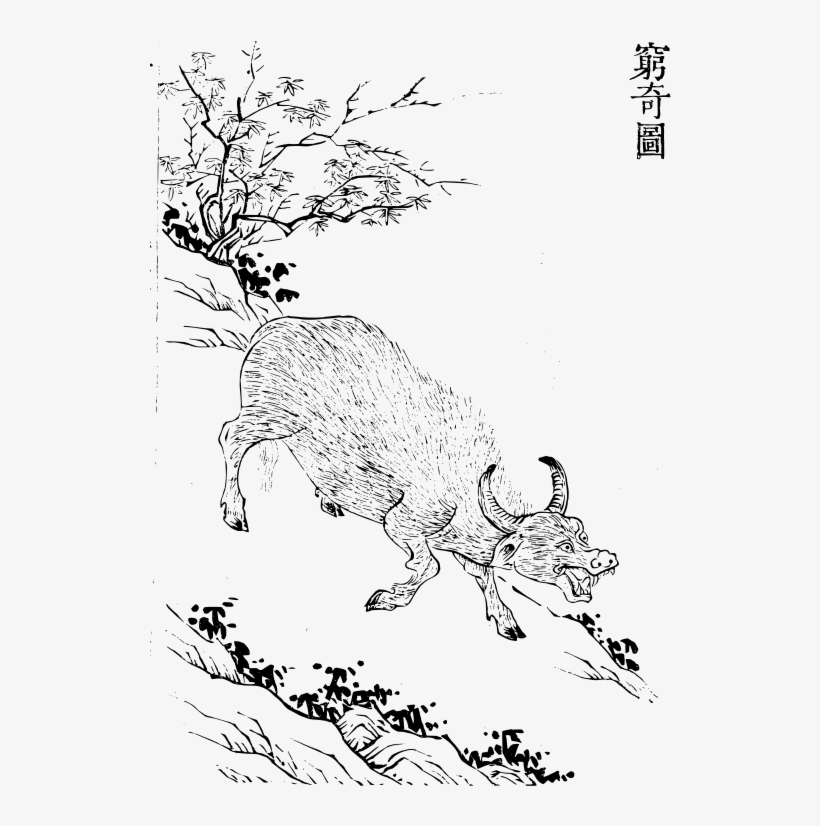 328×480像素 - Encyclopedia, transparent png download