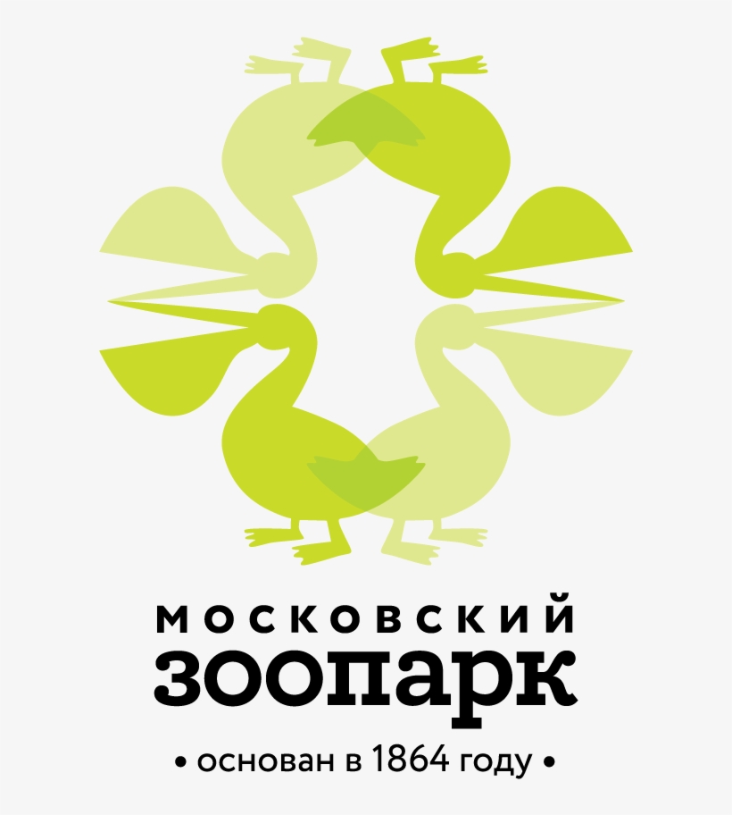 Zoologorus Pelican 03 - Moscow Zoo, transparent png download