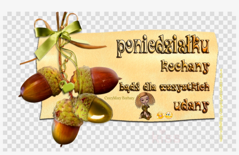 Download Polaroid Transparent Background Clipart Royalty-free - Clip Art, transparent png download