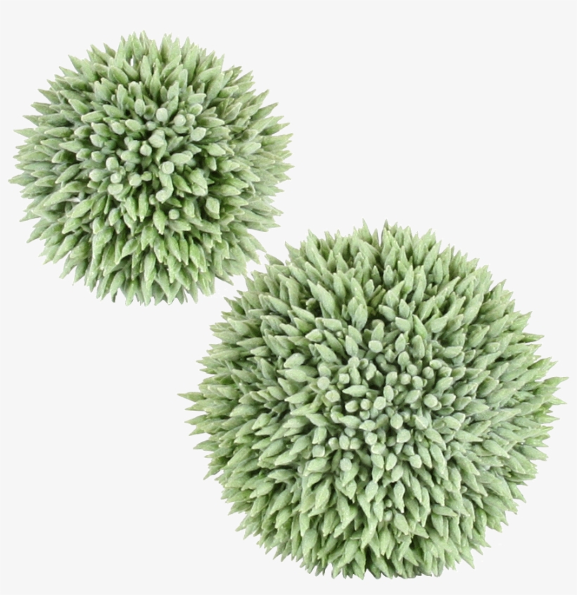 A3161b V=1422573829 - Artificial Turf, transparent png download