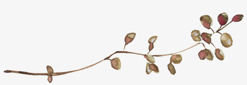 Cute Fresh Small Plant Transparent - Portable Network Graphics, transparent png download