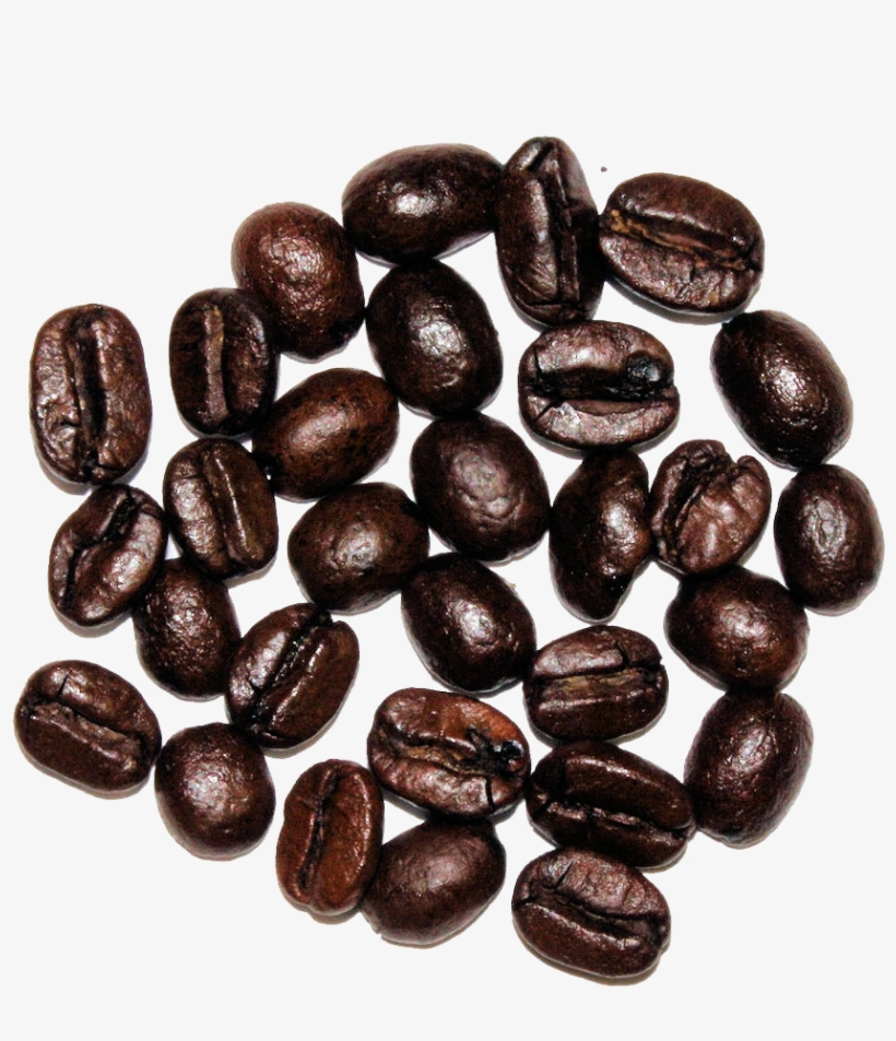 The Cultured Cup® - Seed, transparent png download