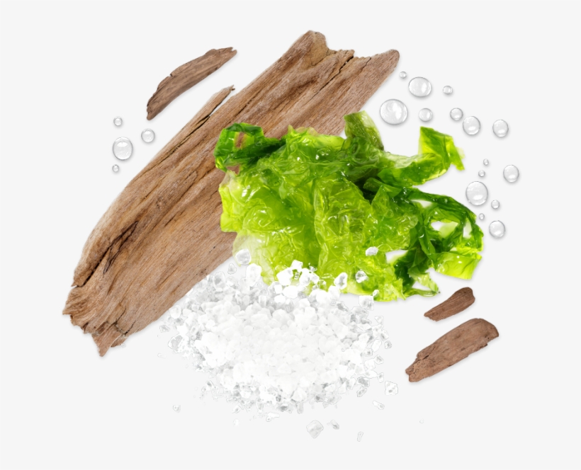 Sea Salt Driftwood Spheres - Driftwood, transparent png download