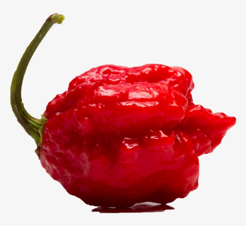 Carolina Reaper Certified Again As Worlds Hottest Chili - Carolina Reaper Pepper Png, transparent png download