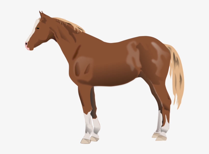 Clip Art Transparent Library Download Clip Art Free - Qui Suis Je Animaux, transparent png download