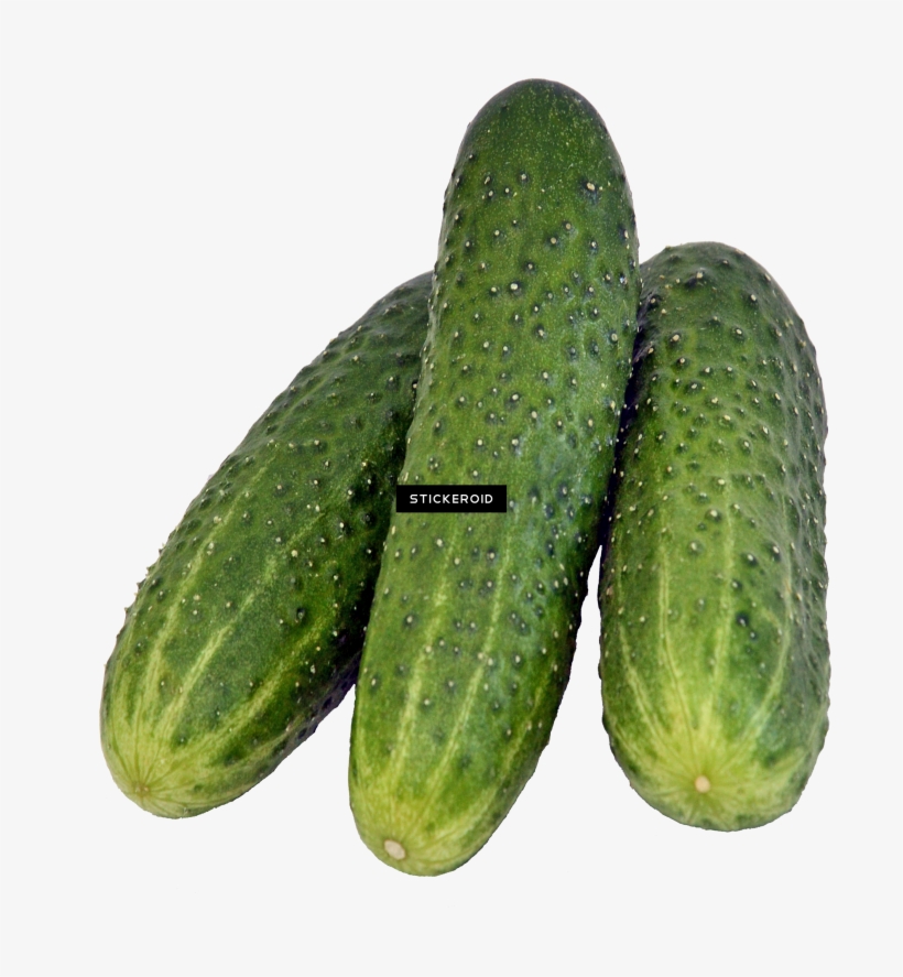خيار - Cucumber, transparent png download