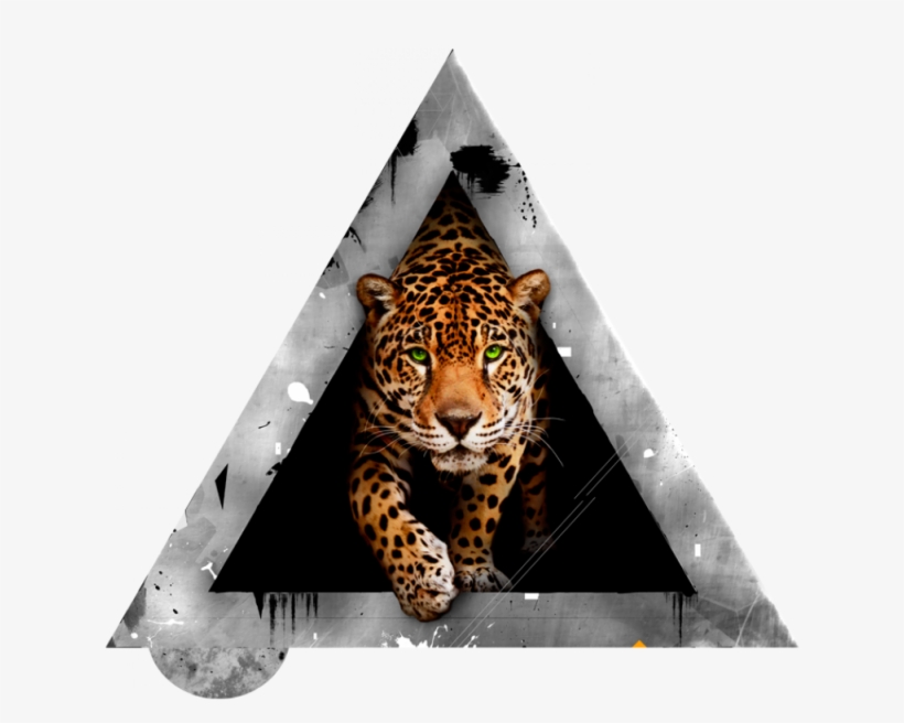Saliendo De La Oscuridad - Carta Da Parati Tigre, transparent png download