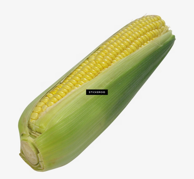Corn - Corn Kernels, transparent png download