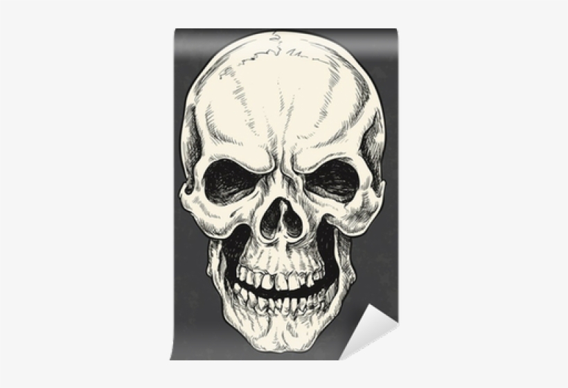 Drawn Skull Vector - Man The Myth The Legend Wilson The Man The Myth, transparent png download