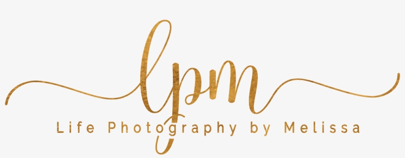 Photography, transparent png download