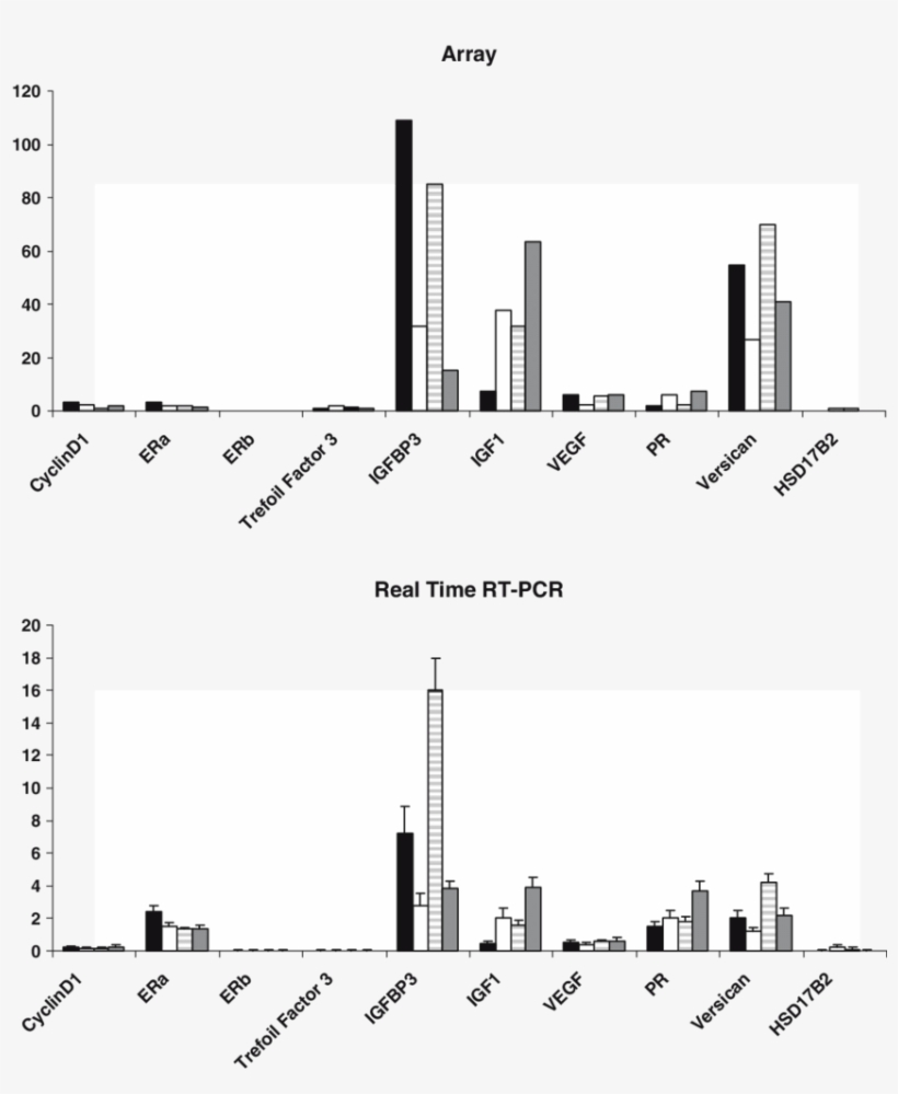 Download - Metropolitan Area, transparent png download