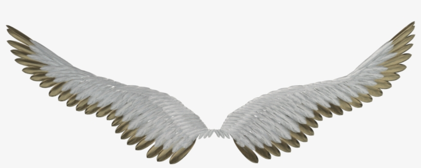 I Place That In There, Play With The Perspective And - Ailes Fond Transparent, transparent png download