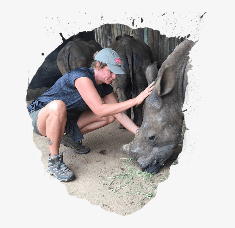 Diana Deblanc - Indian Rhinoceros, transparent png download
